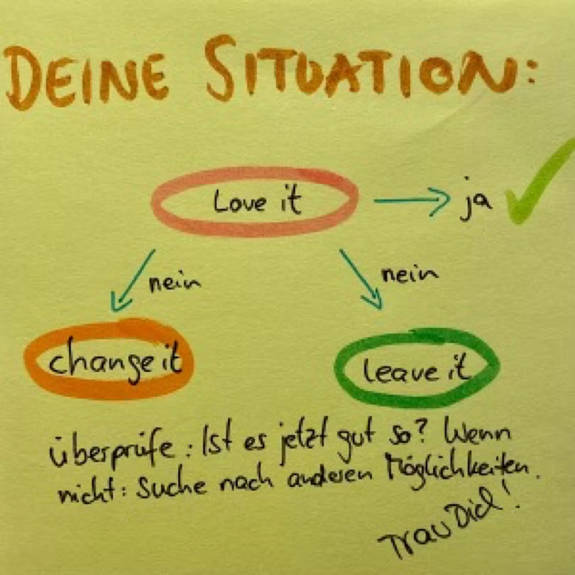 Entscheidungsbaum zur Situation: Love it, change it or leave it. 